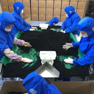 일반 재료 래버 품종 중국 해산물 시장에 사용된 말린 해조류 컷 와카메