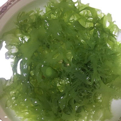 얼어붙은 건조 해조류 토사카 붉은 녹색 스타일 맛있는 향신료
