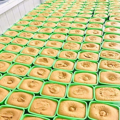 핫 수시 향신료와 정통 맛의 양배추 파스트 다크 시로 미소