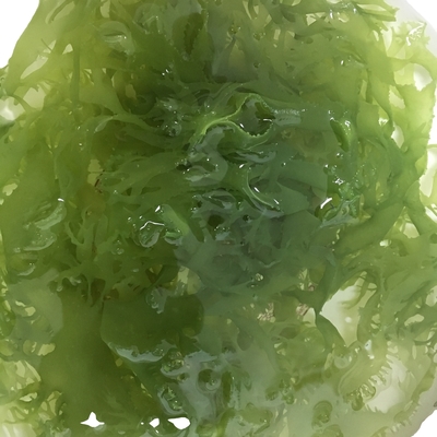 얼어붙은 건조 해조류 토사카 붉은 녹색 스타일 맛있는 향신료