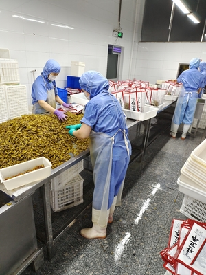 1kg 맛있는 신선한 주황색 시바즈케 녹색 주황색 페퍼 정통 일본 맛