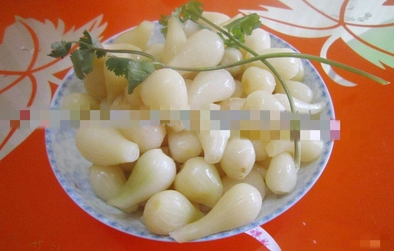 주황색 향신료 중국 양파 락키오 보관