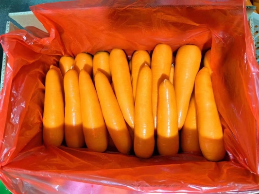 4kg 천연 당근 신선한 채소