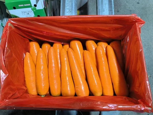 4kg 천연 당근 신선한 채소