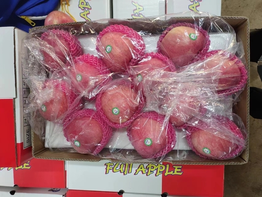 2024 최고 녹색 후지 사과 0.4kg 무게의 신선한 제품