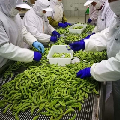 IQF 인증을 받은 냉동 에다마메 증기 A급