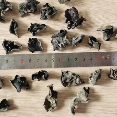 냉동 건조 보관 유형 유기농 건조 블랙 곰팡이 인도와 모로코에서 4-5cm 대량