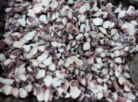 푸젠에서 만든 냉동 썰매 옥토푸스 TAKO I.Q.F 맛있고 편리합니다