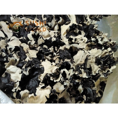 원천 재배 된 건조 된 슬라이스 블랙 AGARIC 곰팡이 24 개월 유통 기간