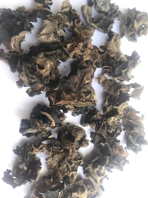 원천 재배 된 건조 된 슬라이스 블랙 AGARIC 곰팡이 24 개월 유통 기간